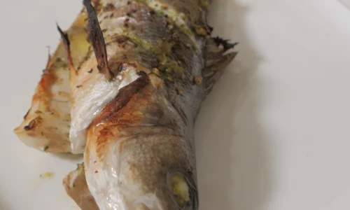 הקמפוס הקולינרי דיגיטל קורס דגים (2)