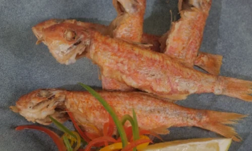 הקמפוס הקולינרי דיגיטל קורס דגים (22)