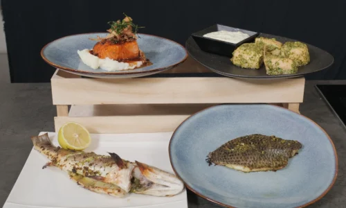 הקמפוס הקולינרי דיגיטל קורס דגים (23)