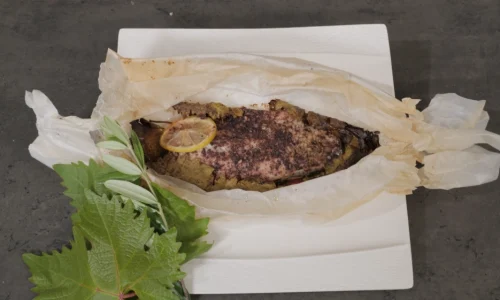 הקמפוס הקולינרי דיגיטל קורס דגים (3)